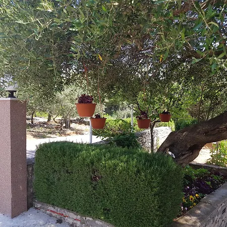 Apartment Mario Donji Okrug (Ciovo)